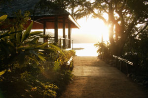 beachfront cabin whitsundays palm bay accommodation